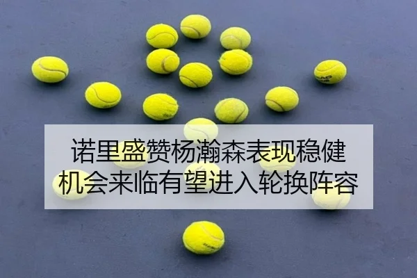 诺里盛赞杨瀚森表现稳健 机会来临有望进入轮换阵容（ayx）