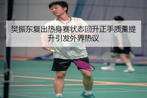 樊振东复出热身赛状态回升正手质量提升引发外界热议（ayx）